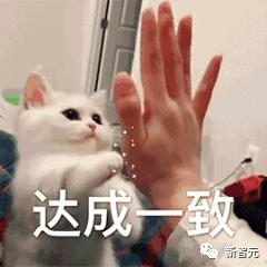 AI读脑成真，延迟仅0.25秒，Meta里程碑新研究：MEG实时解码大脑图像，LeCun转赞