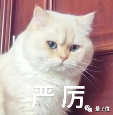 陶哲轩支持！AI奥林匹克数学奖来了，奖金500万美元，寻找能得IMO金牌的大模型。奖金足足1000万美元那种！该比赛号称要“代表新的图灵测试”，怎么比？