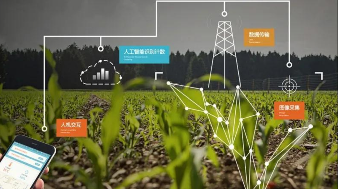 AI+农业：论述其现状、挑战与未来