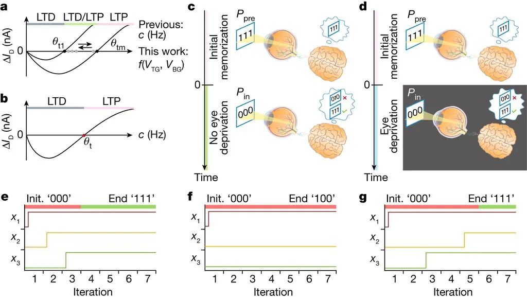 AI晶体管问世：能够像人脑一样思考，没有电也能存储信息
