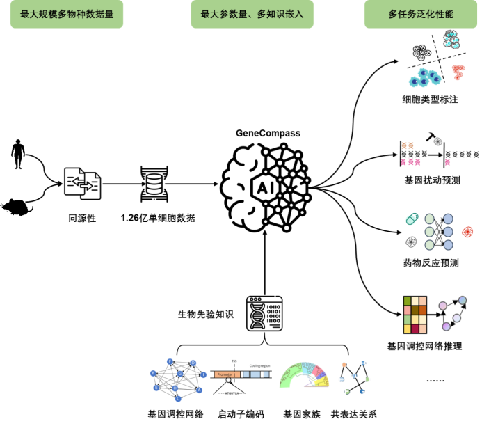 2023年科研领域「 科学ChatGPT」有哪些？LLM for Science有哪些探索......