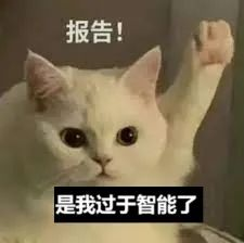 DALL·E 3内部实测效果惊人！Karpathy生成逼真灵动「美国小姐」，50个物体一图全包