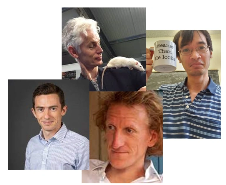 陶哲轩用AI证明数学猜想实乃误读，但数学界仍大受震动
