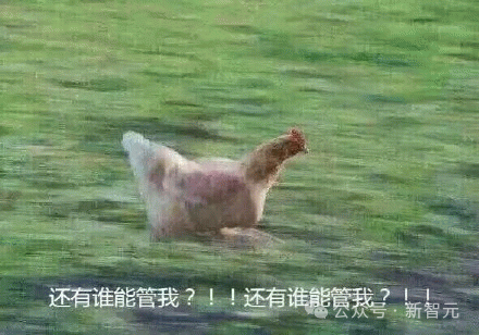 AI机器人席卷CES！OpenAI暗自解除ChatGPT军事应用限制，天网来了？