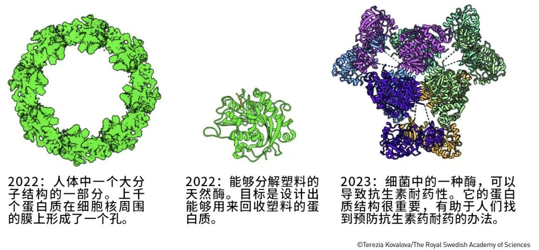 AI凭啥又得奖？就凭它半小时干完了几年的活