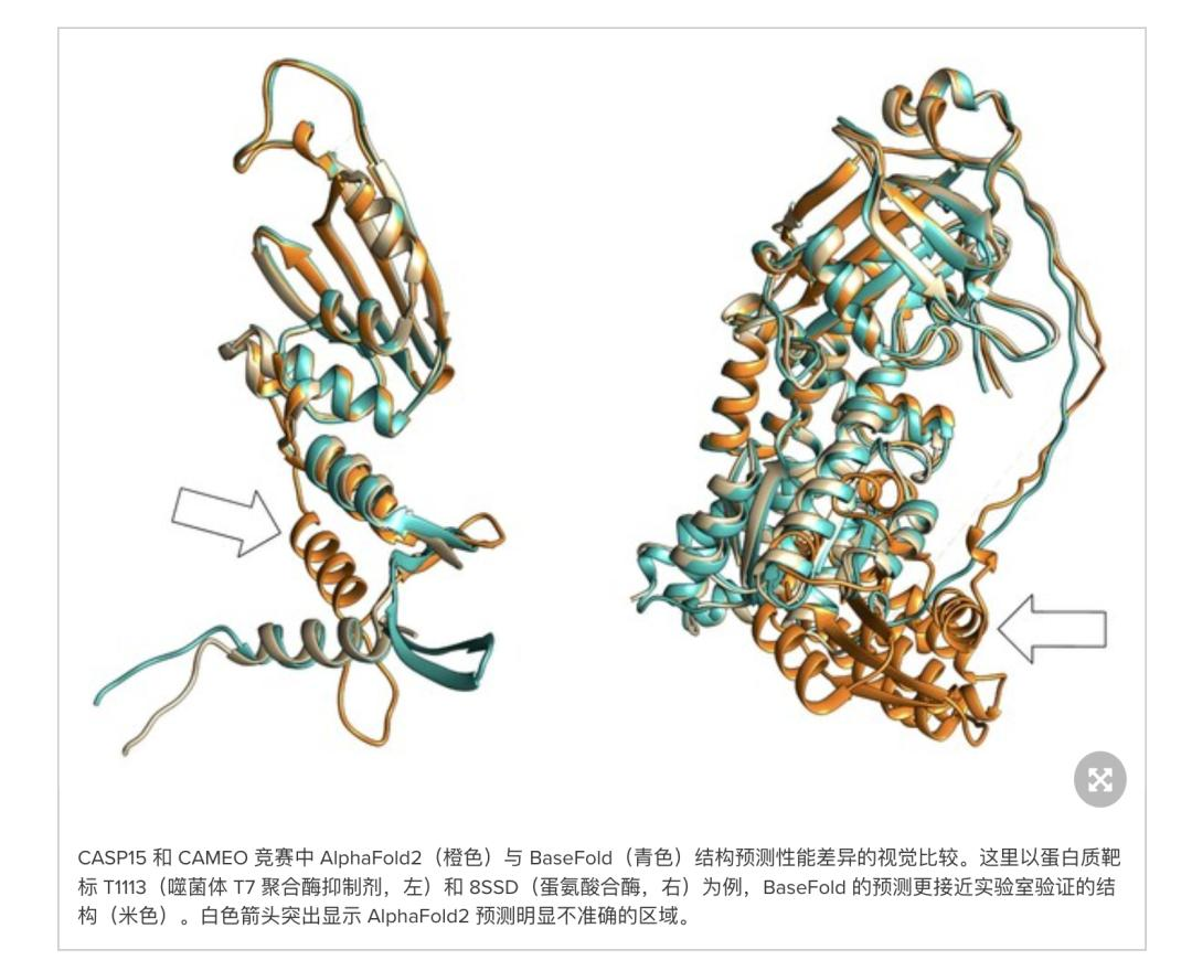比AlphaFold 2还强，AI生物医药创企获6000万融资，打造「生物学GPT」