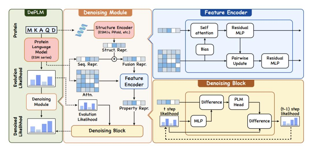入选NeurIPS 24，浙大团队提出全新去噪蛋白质语言模型DePLM，突变效应预测优于SOTA模型