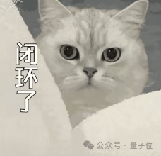 ChatGPT曝严重漏洞，聊天记录黑客随意看，网友：本地运行也没用