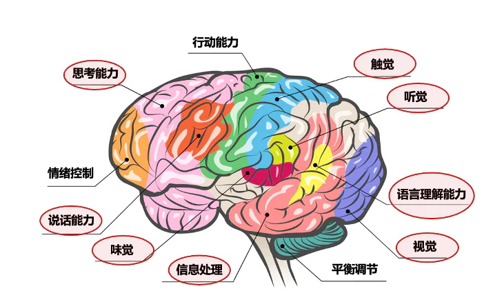 AI时代，哪种人更被需要？