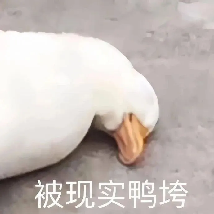 月之暗面创始人被仲裁事件的业内解读（全网最细解读）