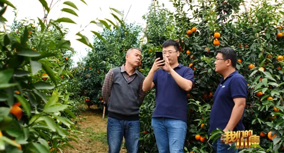 中国民间怎么把AI应用玩出了花？