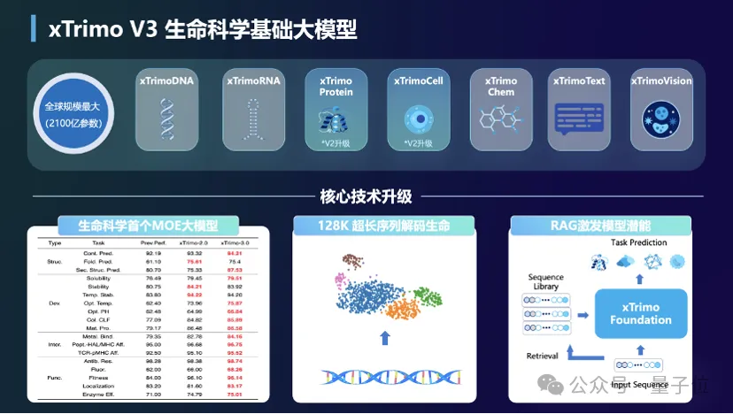 大模型重构生命科学！最大基础模型面世，解锁DNA超长序列，参数规模达2100亿