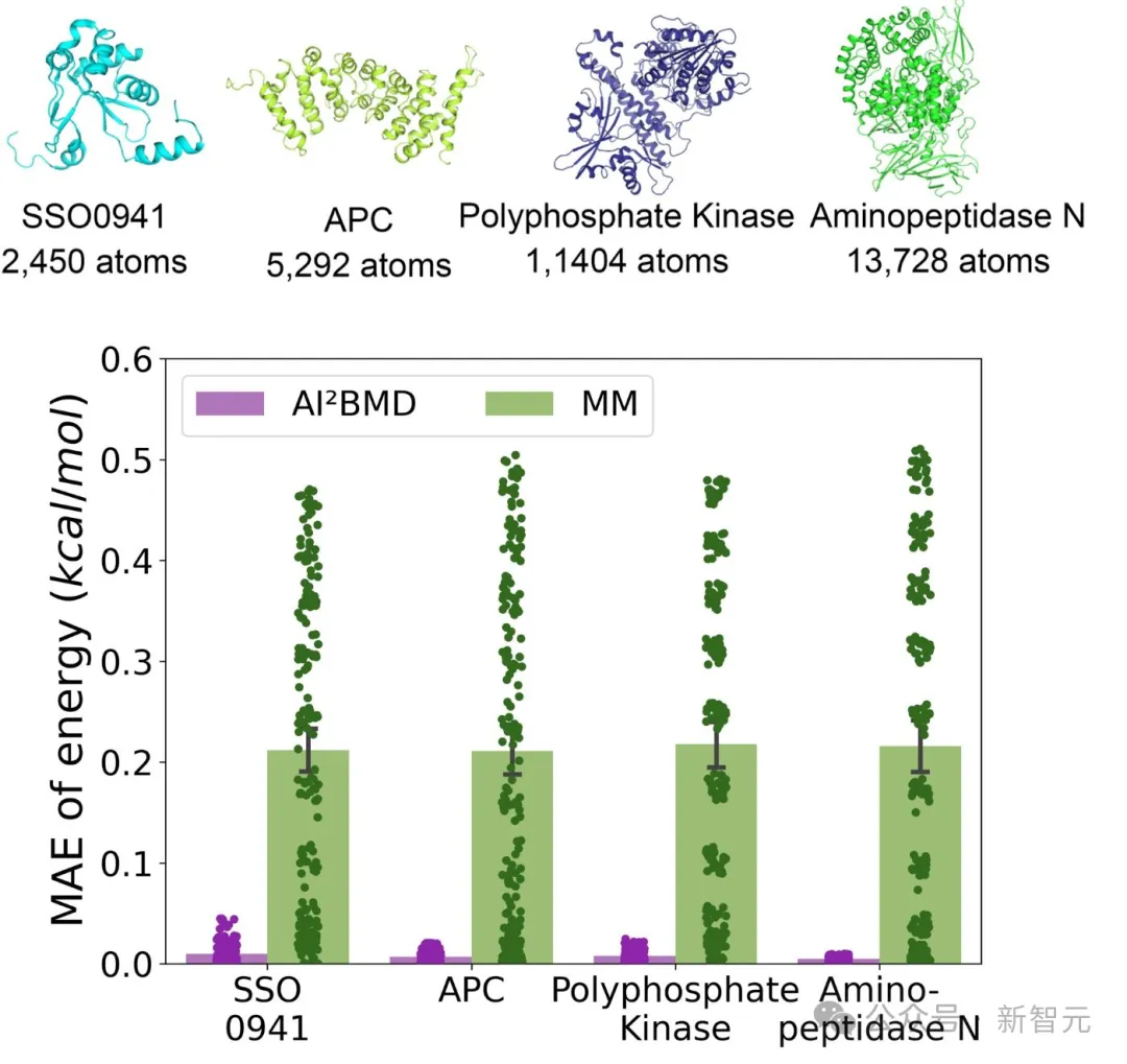 微软华人领衔AI²BMD登Nature，AI生物分子模拟双突破！继AlphaFold后又一里程碑