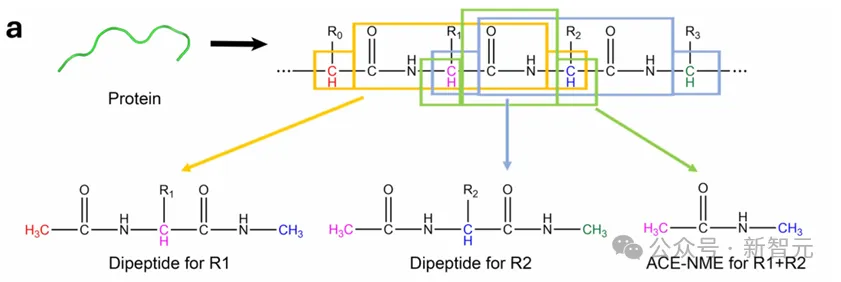 微软华人领衔AI²BMD登Nature，AI生物分子模拟双突破！继AlphaFold后又一里程碑