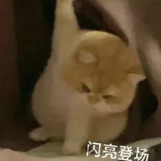 直击CCAI大会：院士专家舌战激辩，20个AI案例C位出道，海淀无愧AI科技“梦工厂”