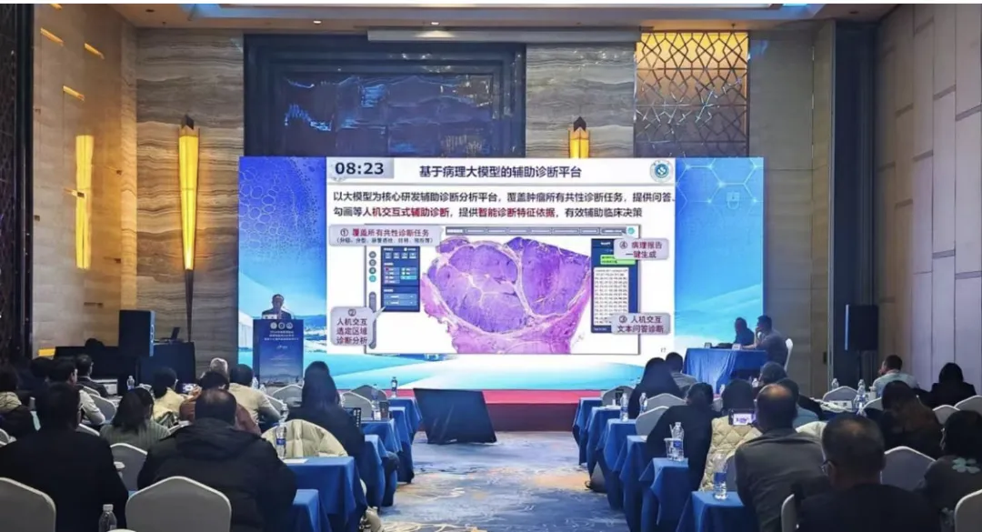 AI病理助手来了！浙大OmniPT上岗，3秒锁定癌症病灶，准确率超95%