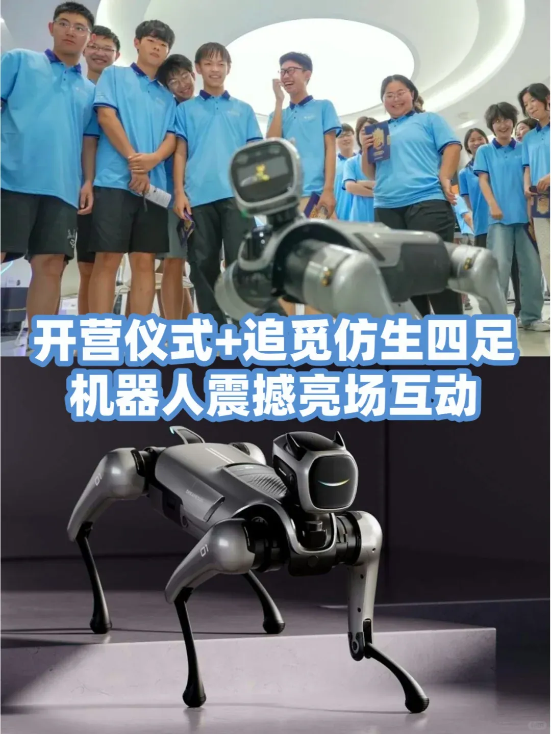做扫地机器人的追觅跨界教育：上线AI口语产品、研学课，还想做学习机