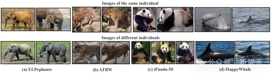 行人、车辆、动物等ReID最新综述！武大等全面总结Transformer方法 | IJCV 2024
