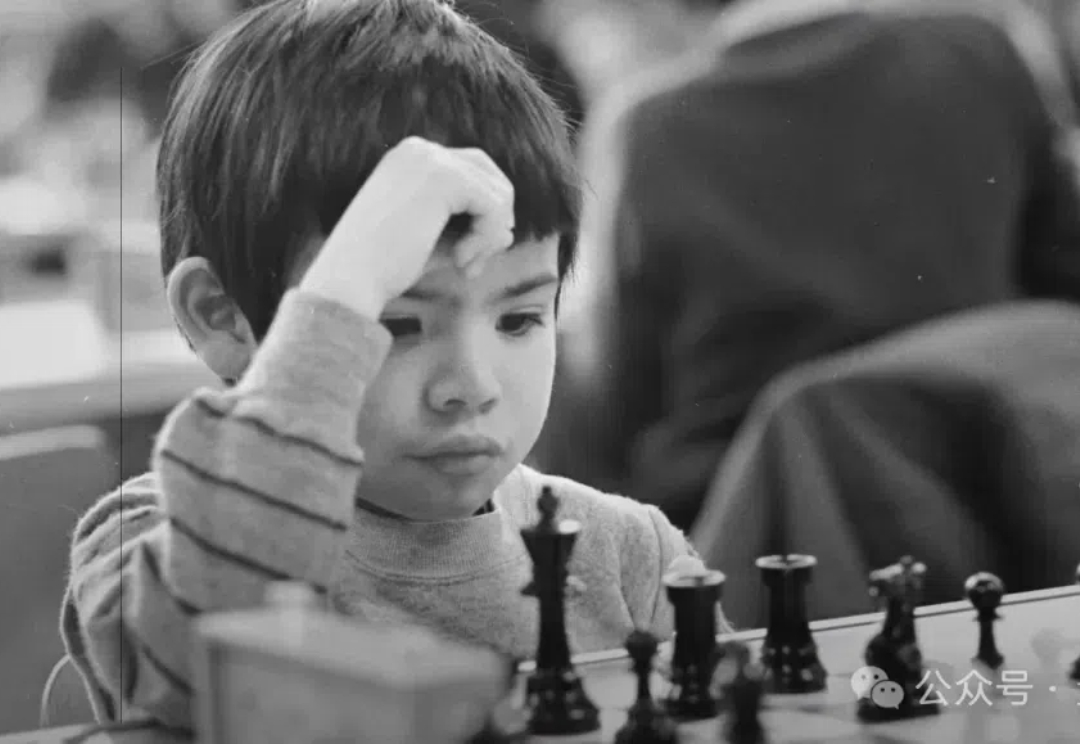 对话Google DeepMind资深科学家：强化学习是重点，大模型时代AlphaZero依然重要