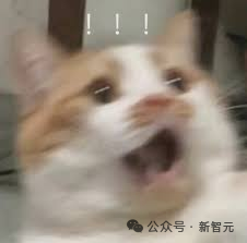 Meta第二代自研AI芯投产，摆脱英伟达依赖！为买H100小扎狂砸数百亿美元