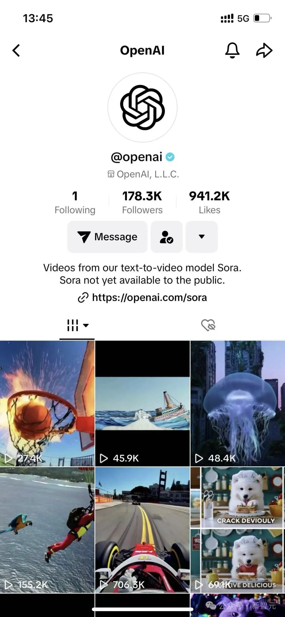 外媒抢先实测Sora，视频大翻车惨不忍睹？不懂物理/动物变形/速度巨慢，但初创公司已经创死一片