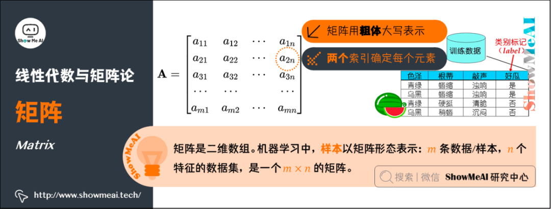 AI数学基础扫盲