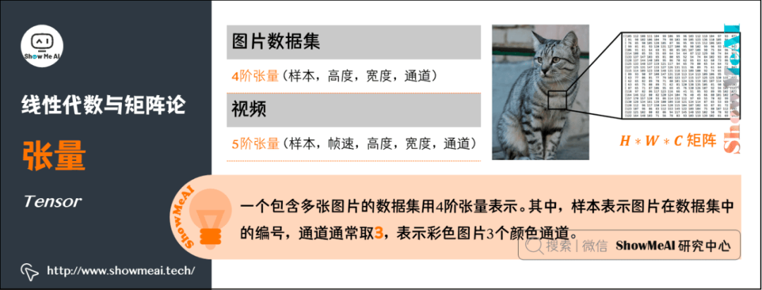 AI数学基础扫盲