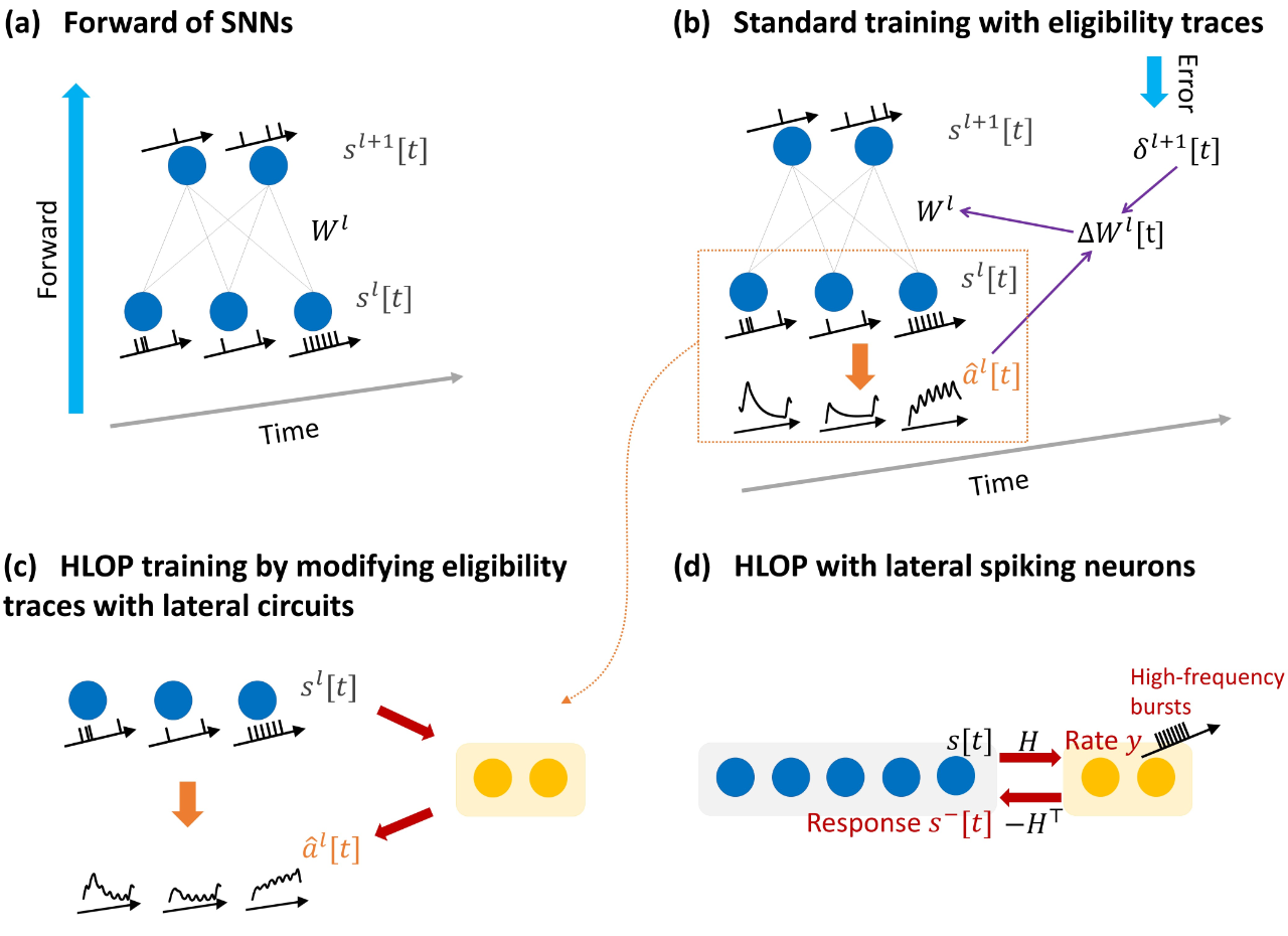 ICLR 2024 | 连续学习不怕丢西瓜捡芝麻，神经形态方法保护旧知识