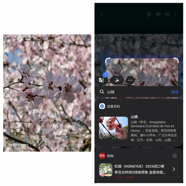 开启了“Galaxy AI”时代三星，能否延续“演唱会神器”的辉煌？