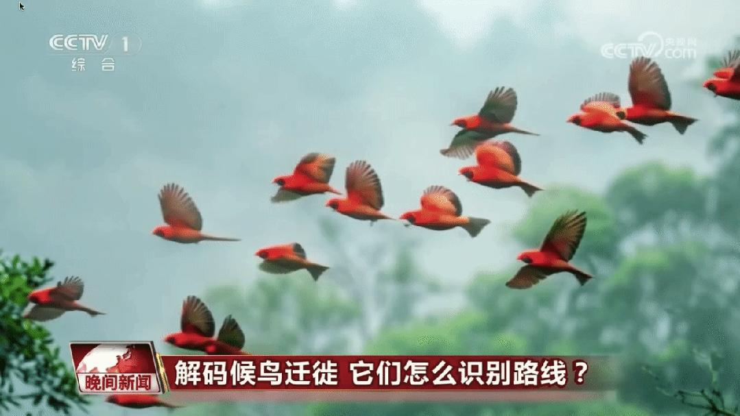 这一次，央视用AI播新闻了