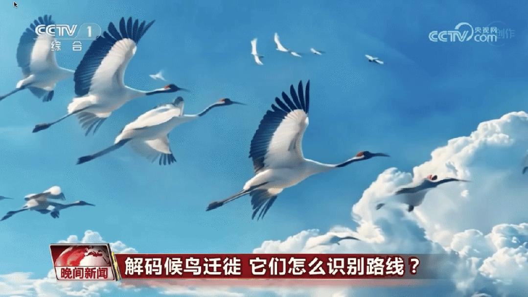这一次，央视用AI播新闻了