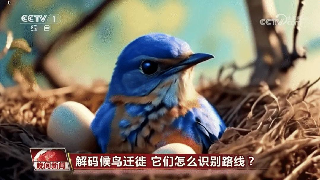 这一次，央视用AI播新闻了
