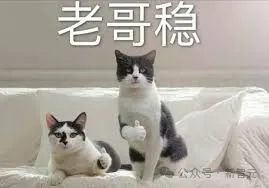 阿里1号AI「员工」上岗，007写代码助攻大厂程序员！炸掉祖传屎山代码，Java丝滑改Python