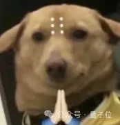 黑照变废为宝！超能AI一句话修出创意大片，亲妈看了都说真