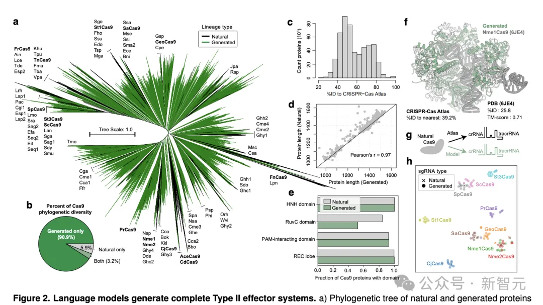 AI成功改写人类DNA，全球首个基因编辑器震撼开源！近5倍蛋白质宇宙LLM全生成