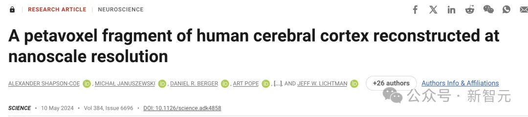 十年磨一「图」，谷歌震撼发布纳米级人脑图谱！AI加持人类大脑研究