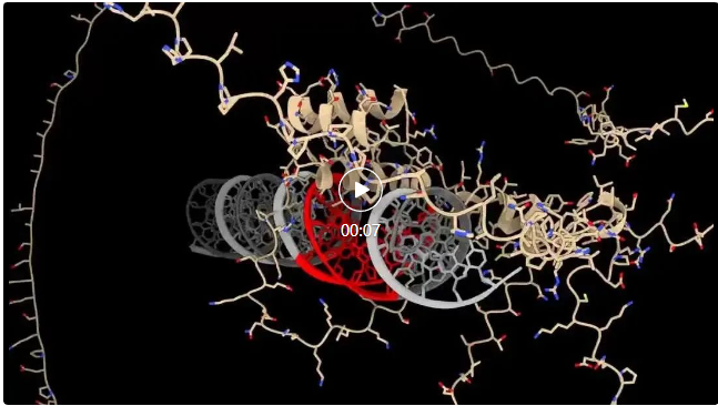 AlphaFold 3轻松应对核酸、脂类分子？科学家迫不及待地更新了评测