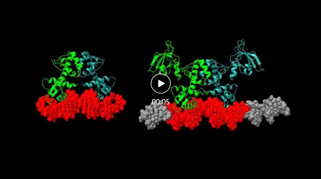AlphaFold 3轻松应对核酸、脂类分子？科学家迫不及待地更新了评测