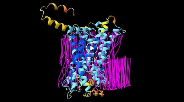 AlphaFold 3轻松应对核酸、脂类分子？科学家迫不及待地更新了评测