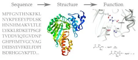 Transformer大杀器进入蛋白质组学，一文梳理LLM如何助力生命科学领域大变革