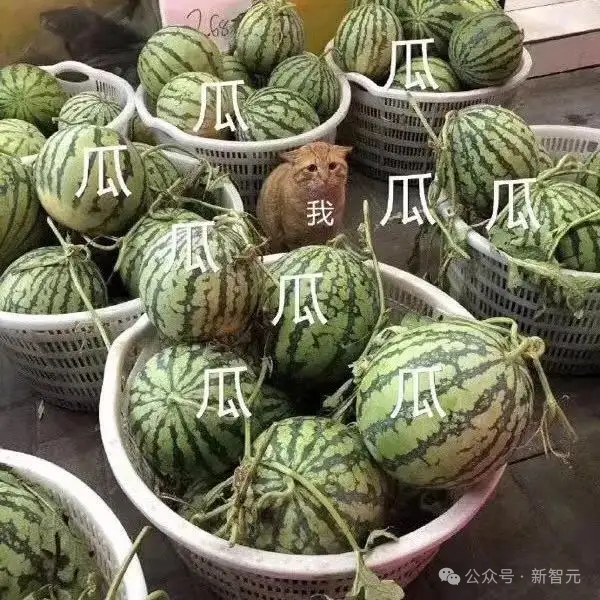 马斯克xAI估值240亿美元，LeCun隔空开怼，竟上升到人身攻击！