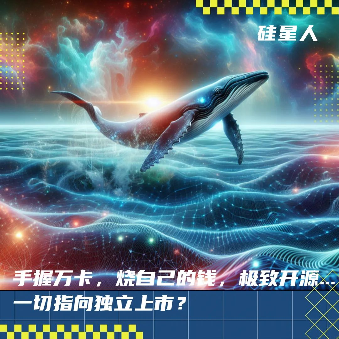 量化起家，万卡在手，降价狂魔，DeepSeek可能就是中国大模型混战的终结者