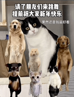《嬛嬛朕emo啦》但马斯克！阿里这项技术开放试玩