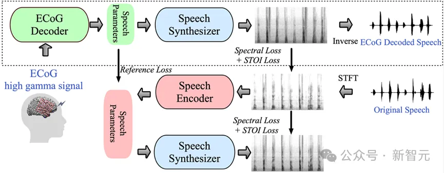 LeCun转发，AI让失语者重新说话！纽约大学发布全新「神经-语音」解码器｜Nature子刊