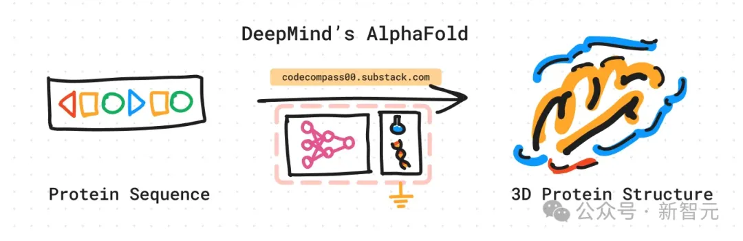 AlphaFold的伟大，只因做对了这5件事！DeepMind副总裁：团队注定会取得突破
