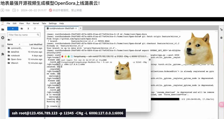 速来！潞晨Open-Sora羊毛可薅，10元轻松上手视频生成