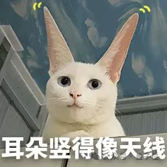 给iPhone背面贴个AI录音机，生意老好了 