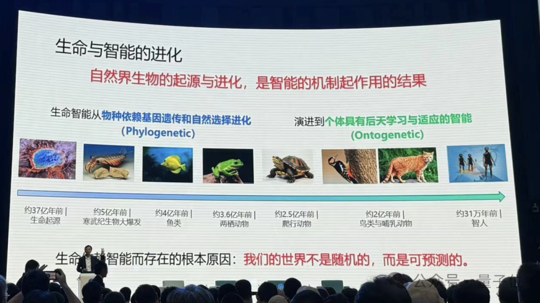 港大马毅：大模型长期没有理论就像盲人摸象；大佬齐聚激辩AI下一步｜2024国际基础科学大会