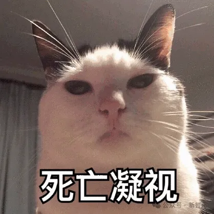 全员i人？《大闹天宫》MBTI测试让全公司炸锅！最神秘国产大模型团队出手了 