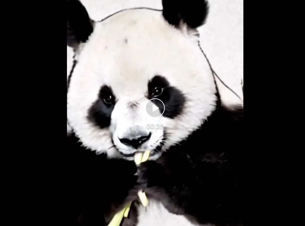 千呼万唤的可灵网页版来了！基础模型重磅升级，新功能“炸场”WAIC